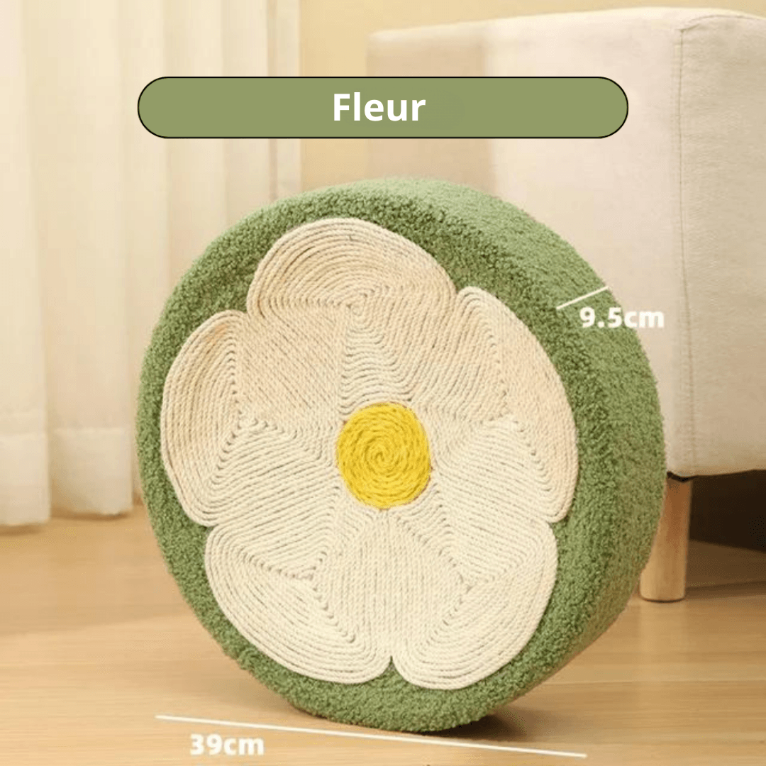 Griffoir Lit pour Chats