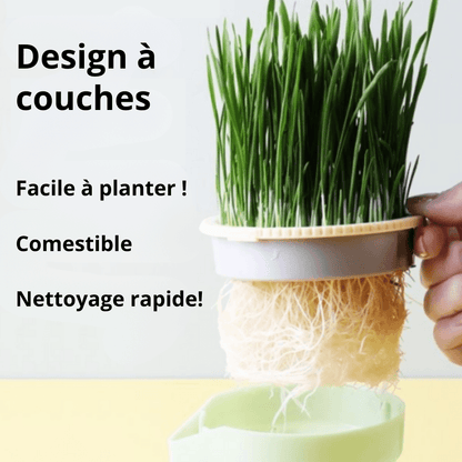 Pot de plantes pour chats